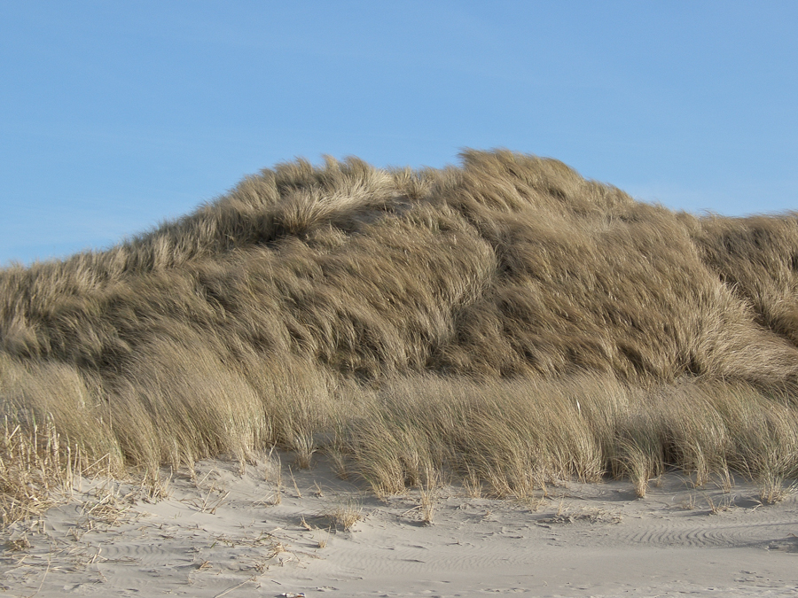 An der Nordsee...