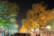 Festival of lights 07
