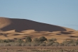 sahara