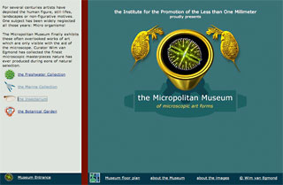 The Micropolitan Museum