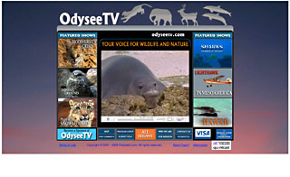 Odysee TV