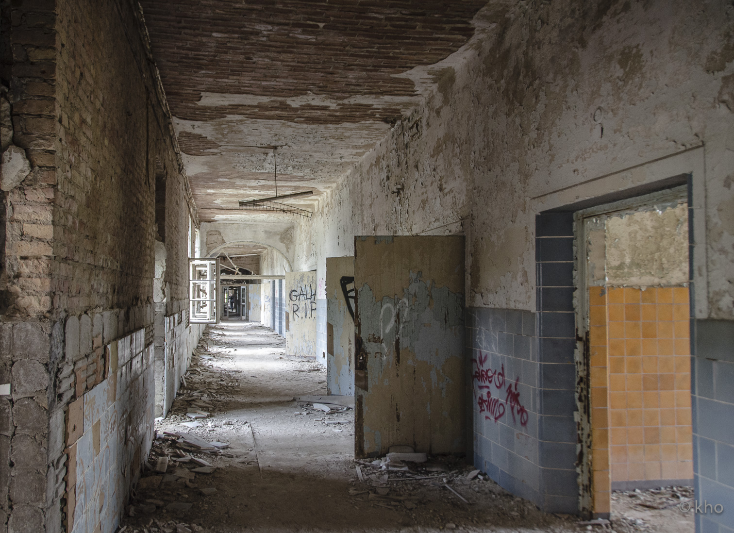 _D707100.jpg