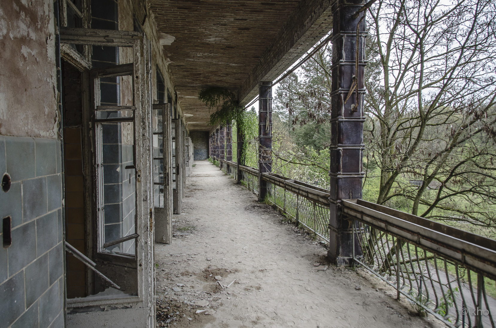 _D707104.jpg