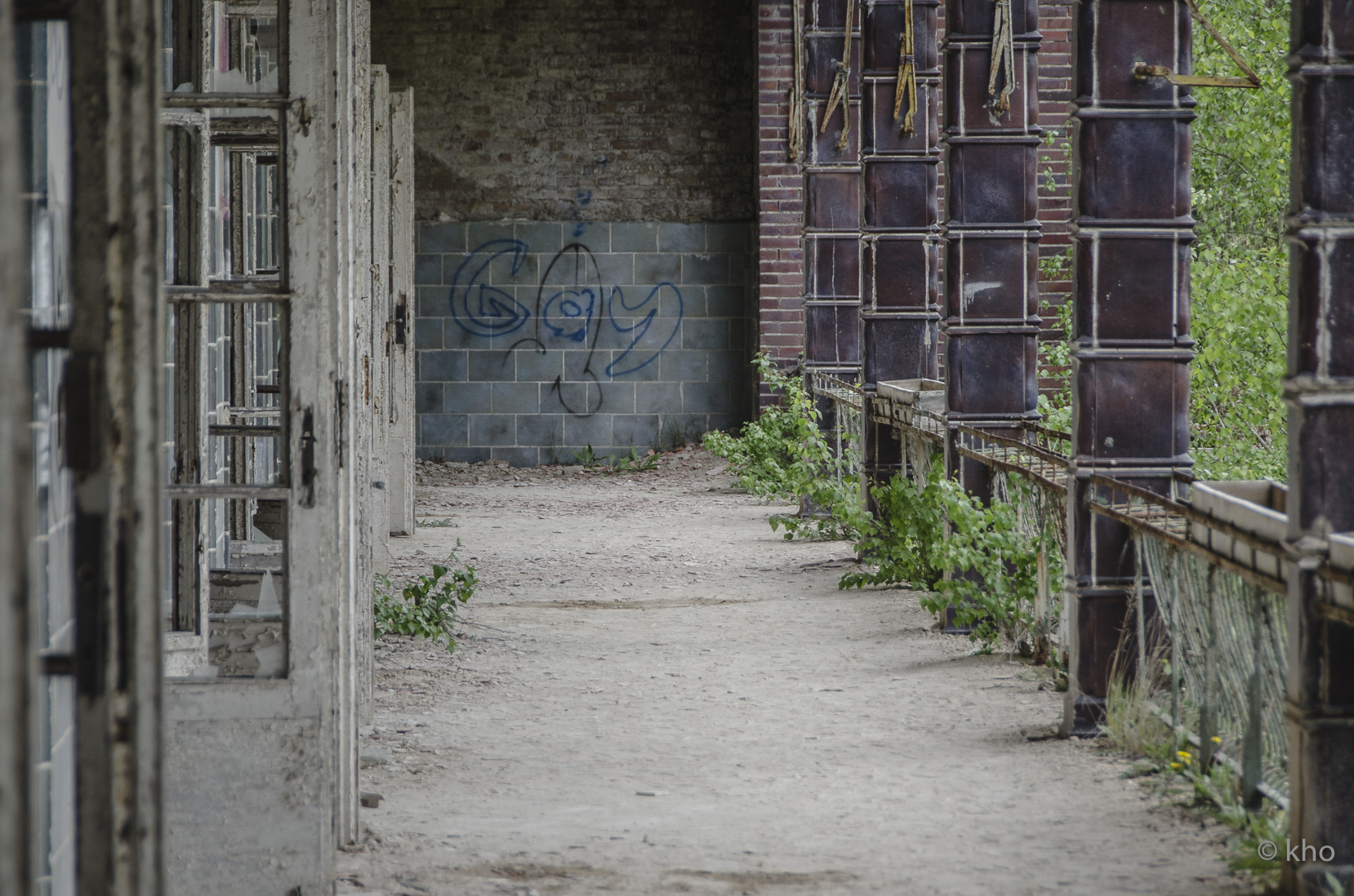 _D707108.jpg