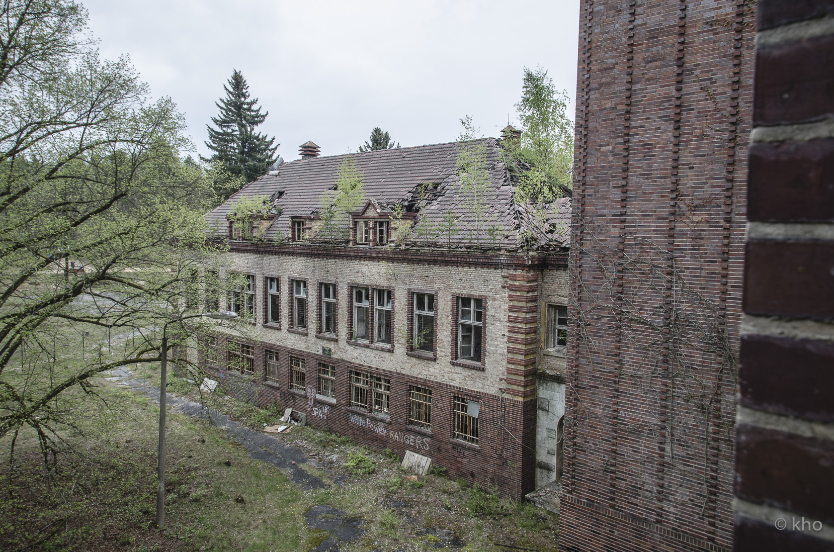 _D707114.jpg