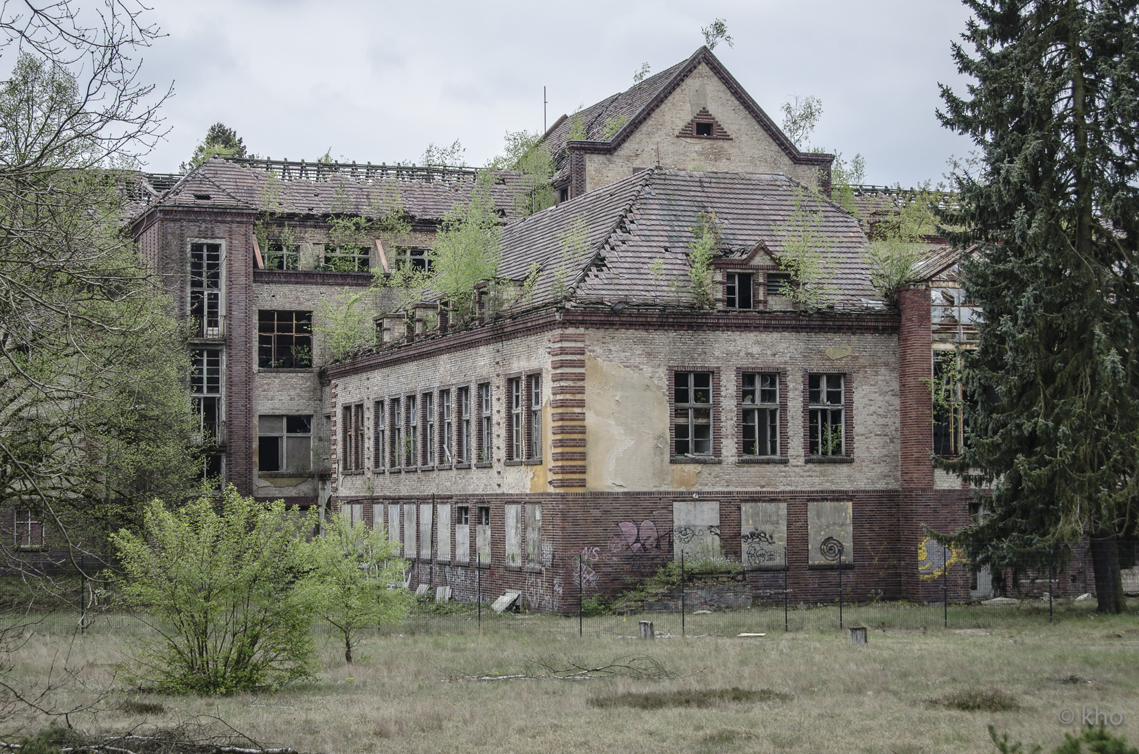 _D707228.jpg