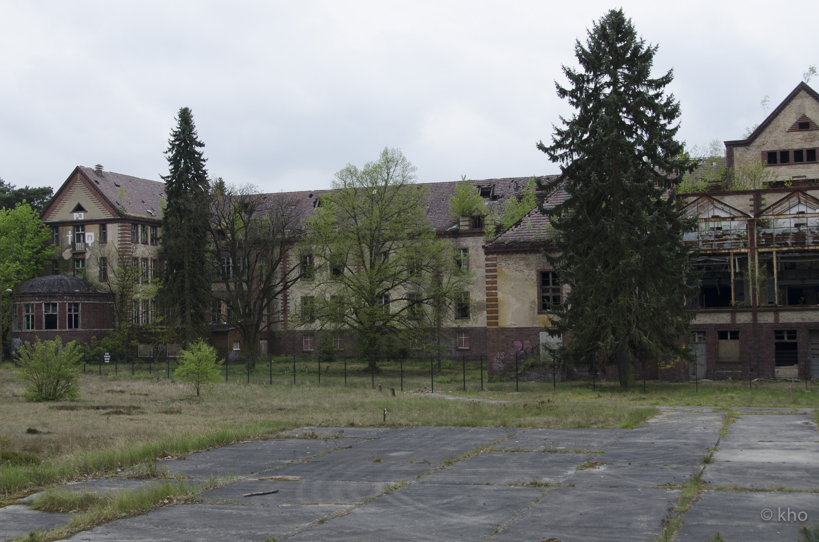 _D707231.jpg