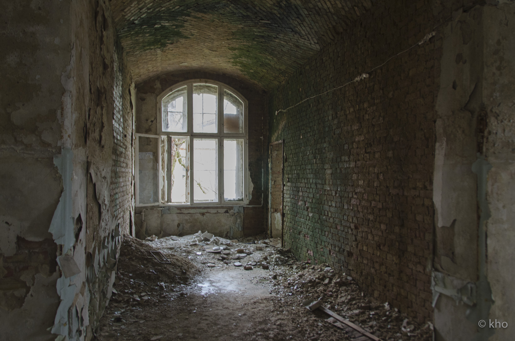 _D707352.jpg