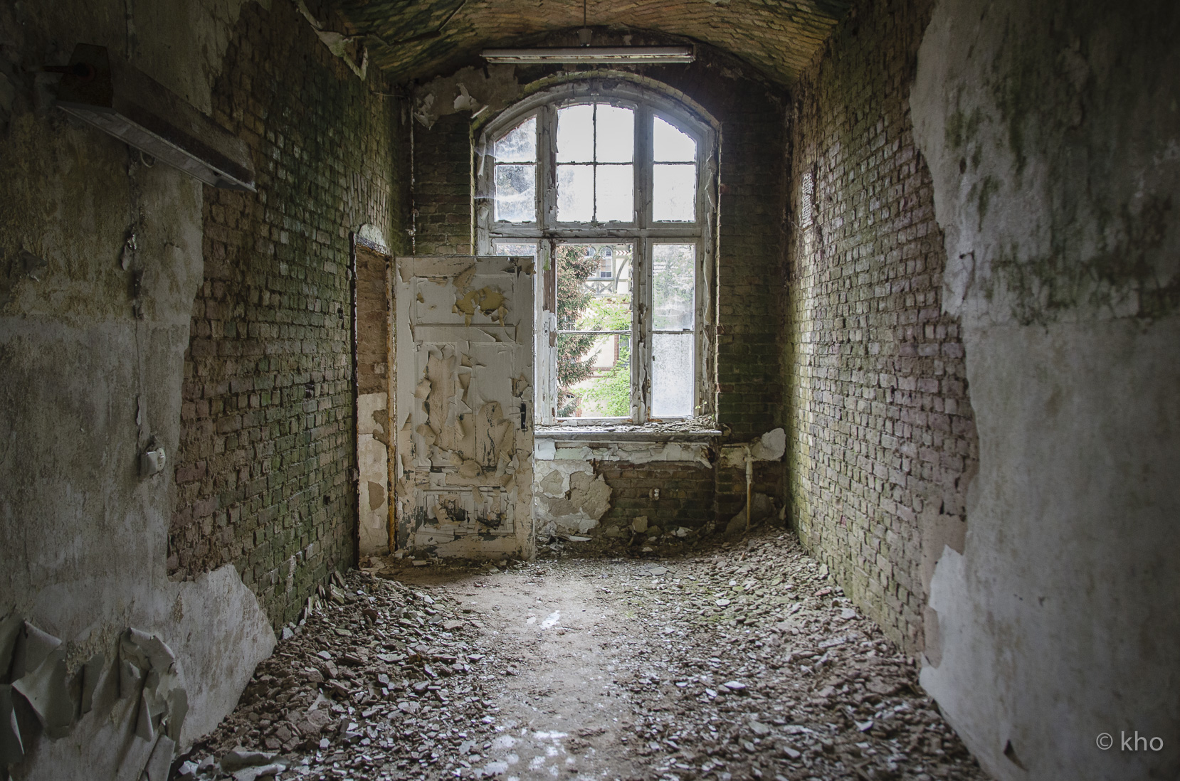 _D707357.jpg