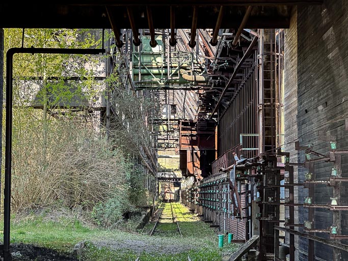 IMG_2650.jpg IMG_2650.jpg