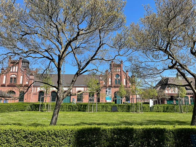 IMG_5422.jpg IMG_5422.jpg