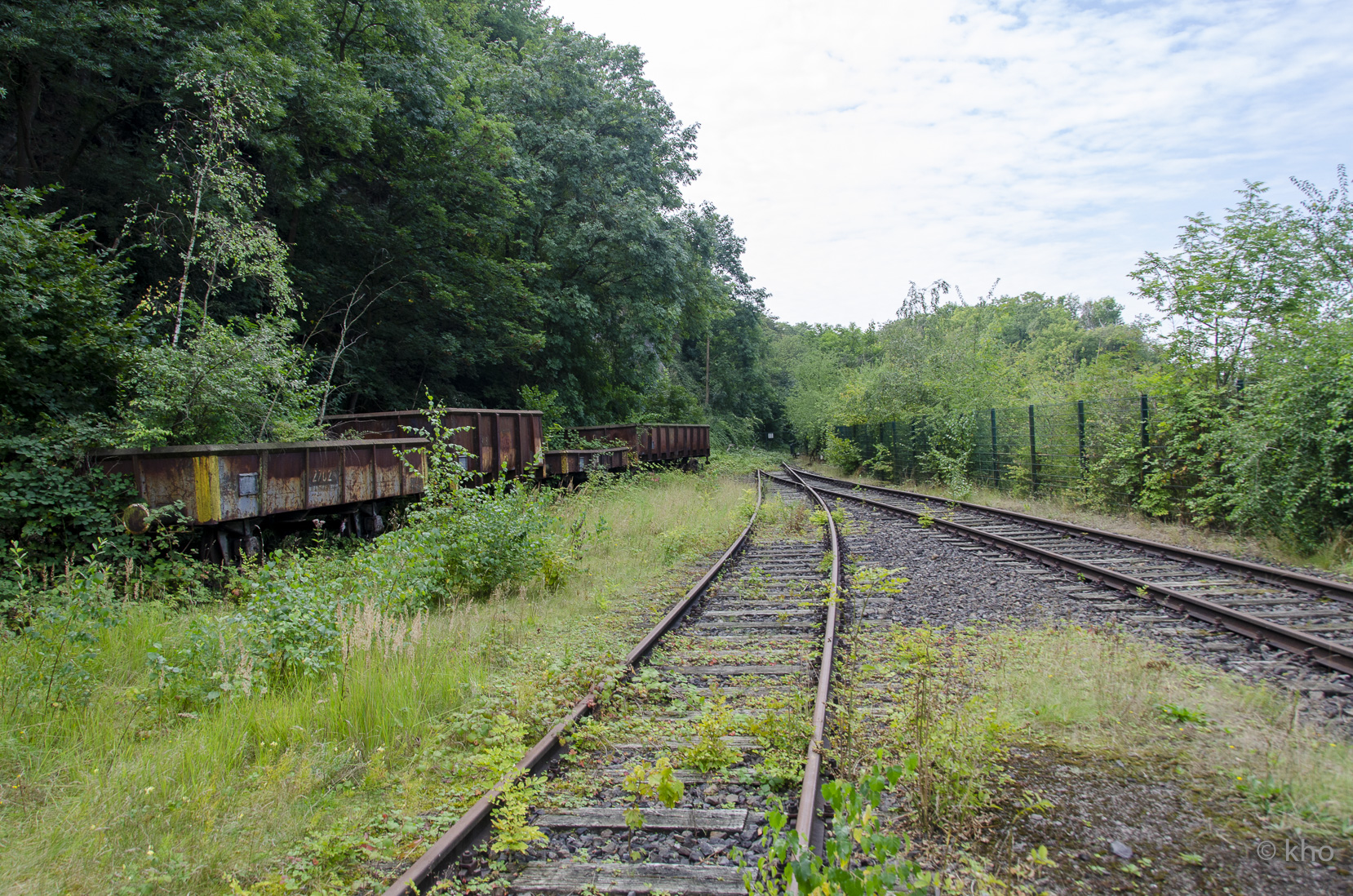 _D701079.jpg