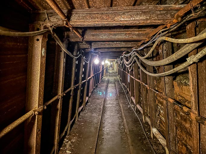 IMG_8222.jpg IMG_8222.jpg