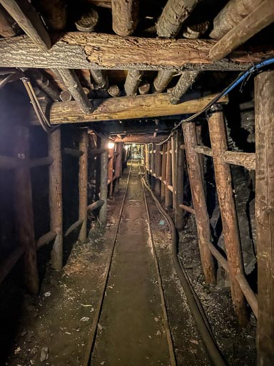 IMG_8223.jpg IMG_8223.jpg