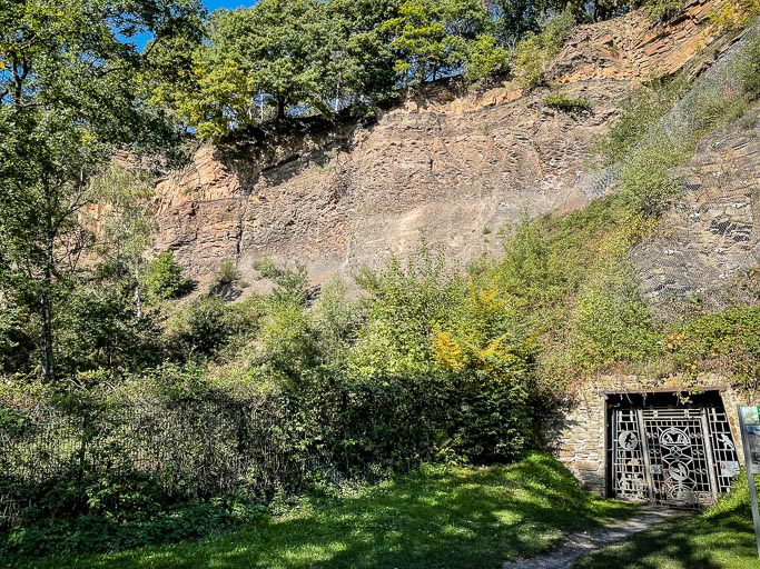 IMG_8225.jpg IMG_8225.jpg