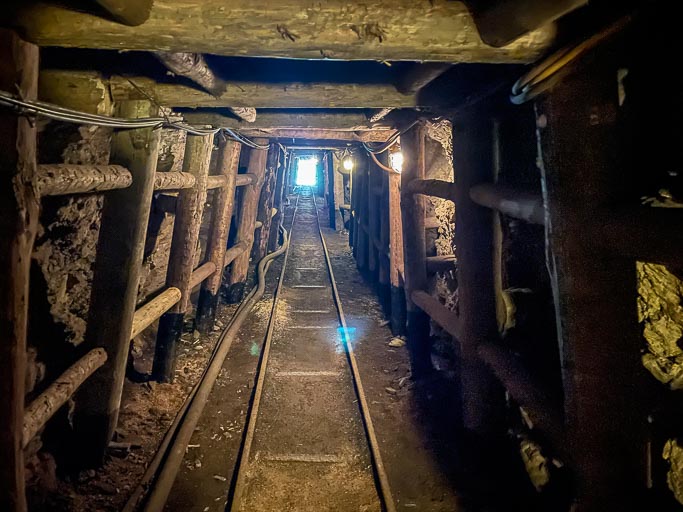 IMG_8229.jpg IMG_8229.jpg