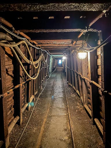 IMG_8231.jpg IMG_8231.jpg