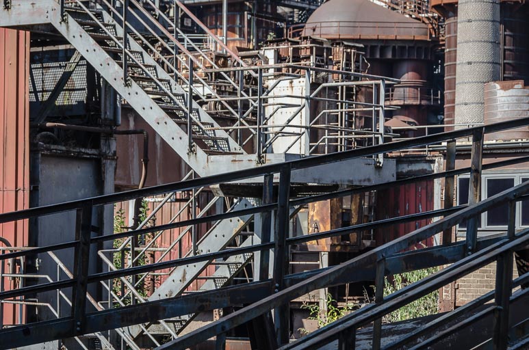 _D705463.jpg _D705463.jpg