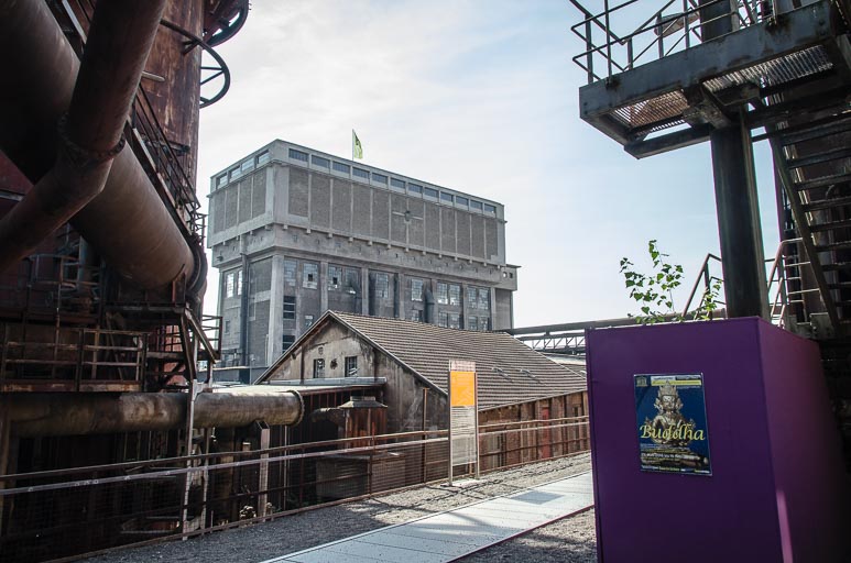 _D705472.jpg _D705472.jpg