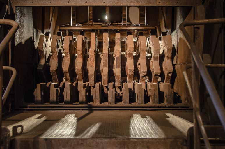 _D705488.jpg _D705488.jpg