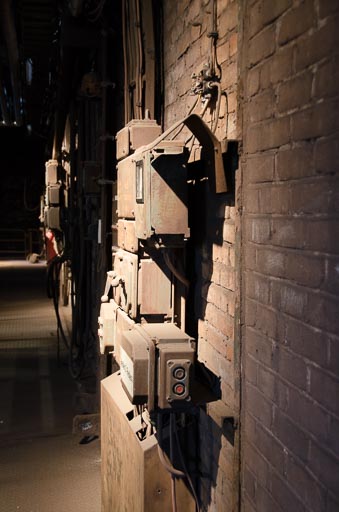 _D705491.jpg _D705491.jpg