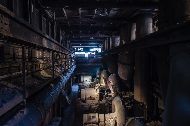 _D705493.jpg _D705493.jpg