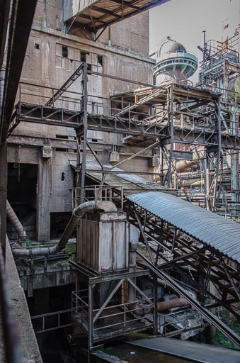 _D705497.jpg _D705497.jpg