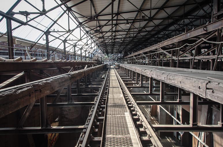 _D705506.jpg _D705506.jpg