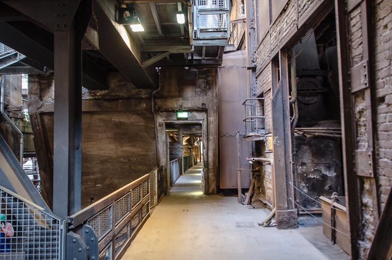 _D705510.jpg _D705510.jpg