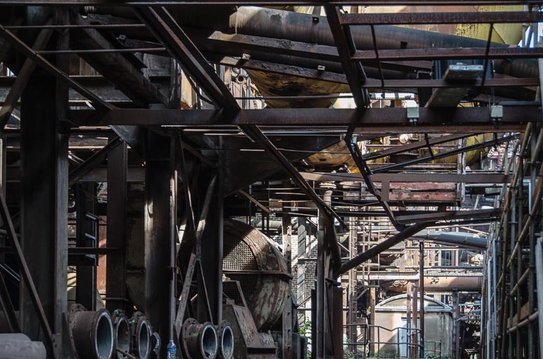 _D705545.jpg _D705545.jpg