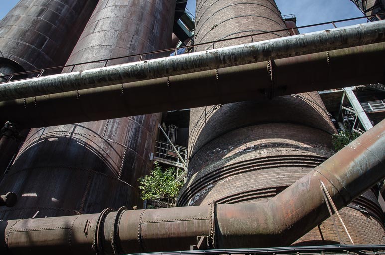 _D705547.jpg _D705547.jpg