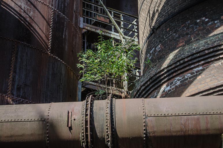 _D705550.jpg _D705550.jpg