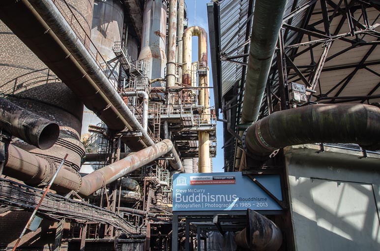 _D705553.jpg _D705553.jpg