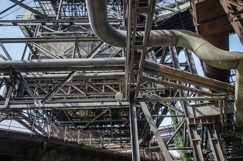 _D705559.jpg _D705559.jpg