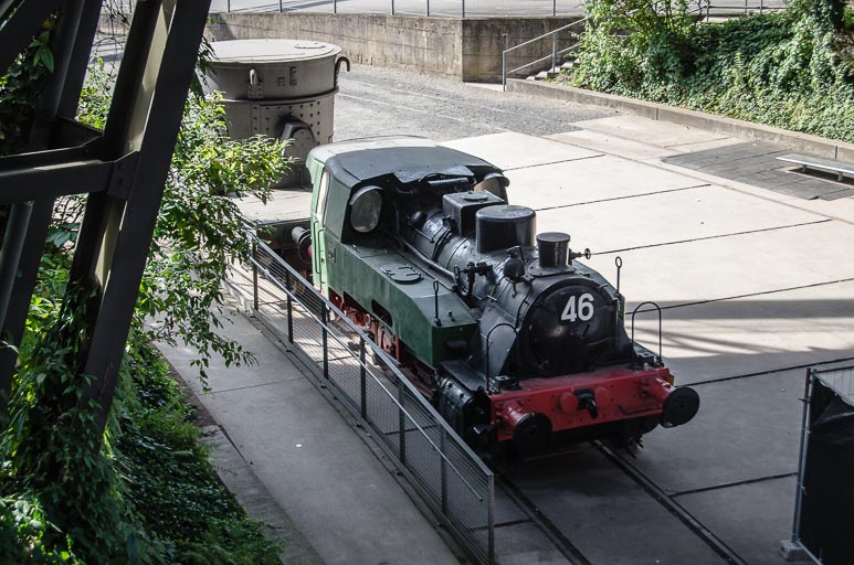 _D705565.jpg _D705565.jpg