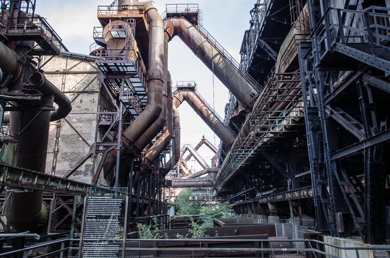 _D705571.jpg _D705571.jpg