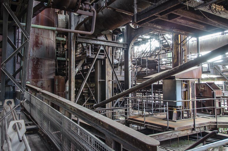 _D705575.jpg _D705575.jpg