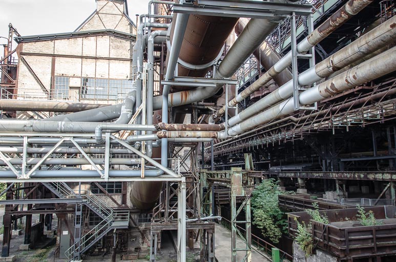 _D705578.jpg _D705578.jpg