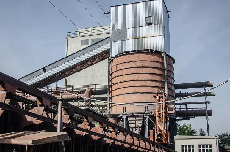 _D705587.jpg _D705587.jpg