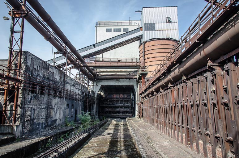 _D705589.jpg _D705589.jpg