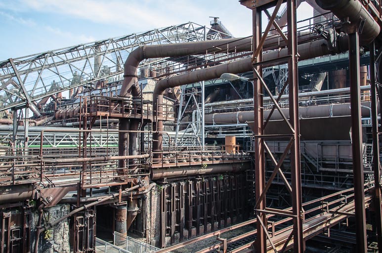 _D705596.jpg _D705596.jpg