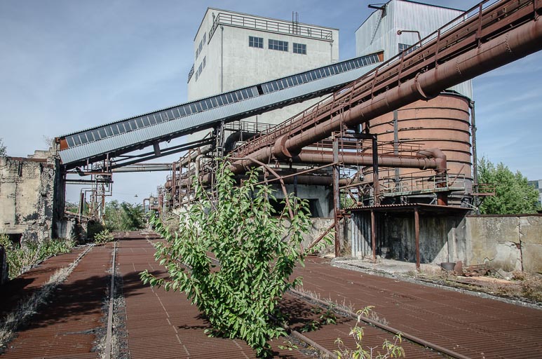 _D705597.jpg _D705597.jpg