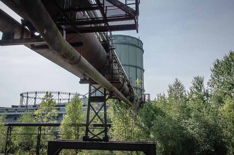 _D705604.jpg _D705604.jpg