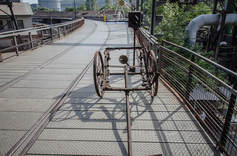 _D705616.jpg _D705616.jpg