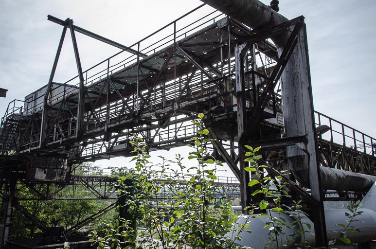 _D705617.jpg _D705617.jpg