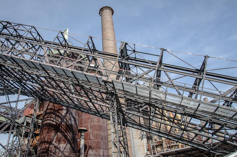 _D705621.jpg _D705621.jpg