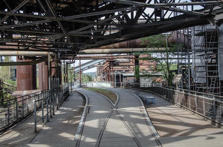 _D705623.jpg _D705623.jpg