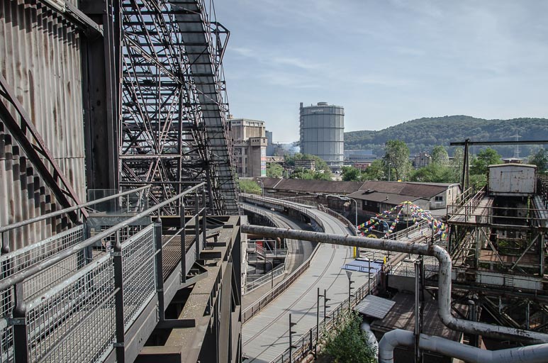 _D705627.jpg _D705627.jpg