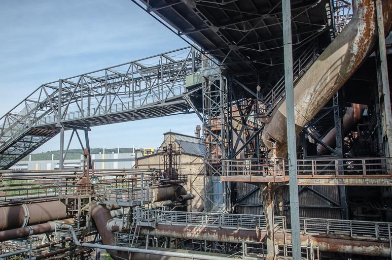 _D705635.jpg _D705635.jpg