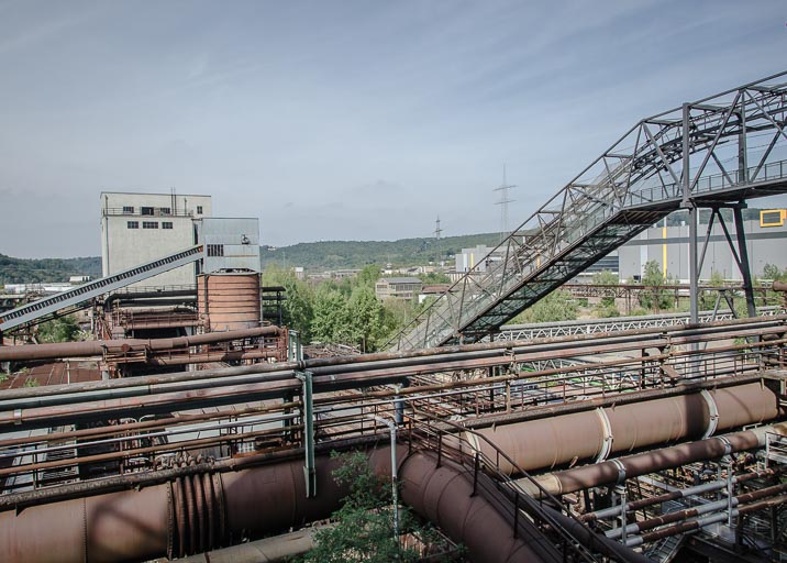 _D705637.jpg _D705637.jpg